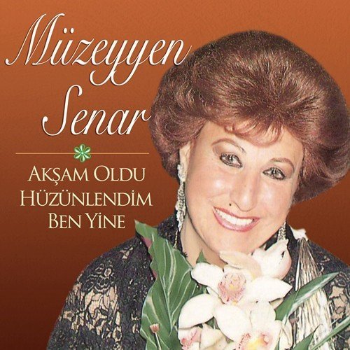 Müzeyyen Senar Akşam Oldu Hüzünlendim Ben Yine LP