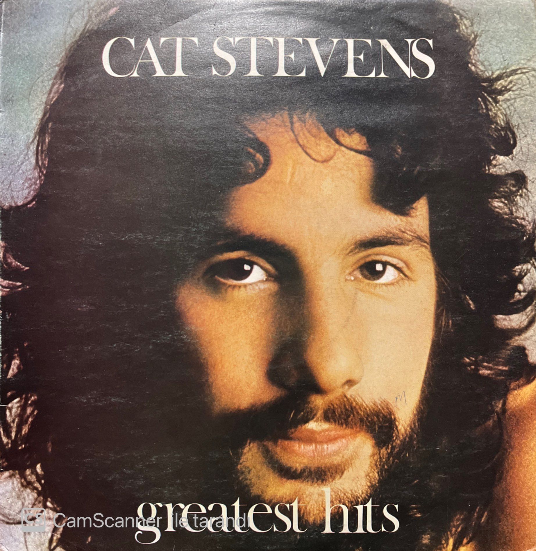 Cat Stevens Greatest Hits LP Plak