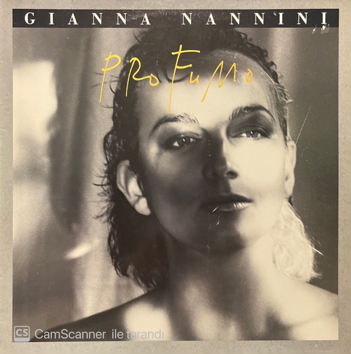 Gianna Nannini Profumo LP Plak