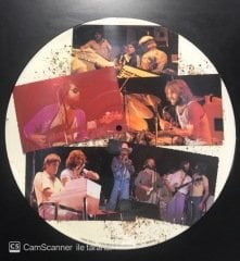 The Beach Boys Light Picture Disk LP Plak