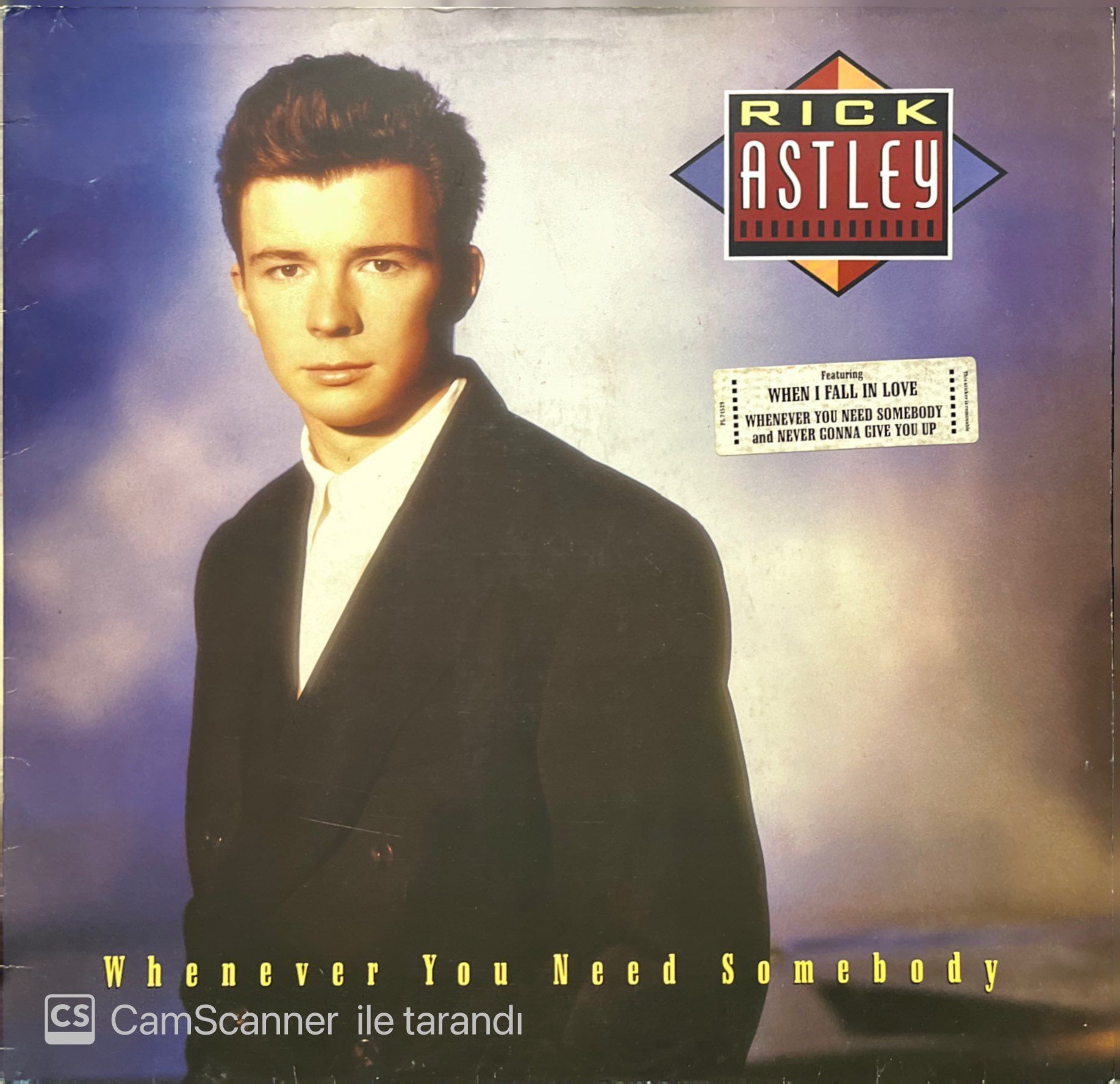 Rick Astley Whenever You Need Somebody LP Plak