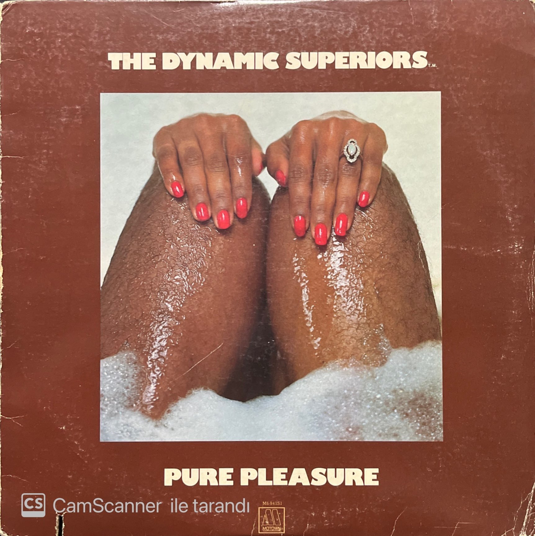 The Dynamic Superiors Pure Pleasure LP Plak