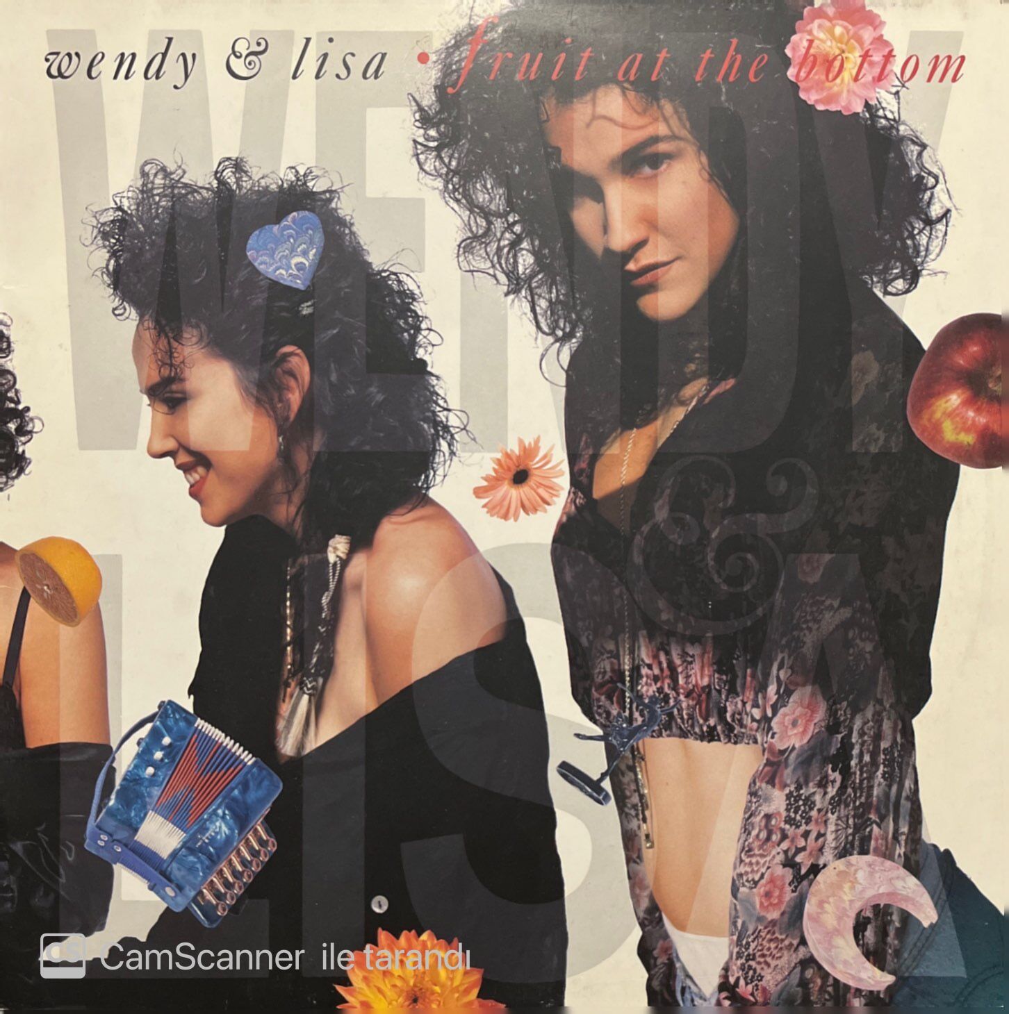 Wendy & Lisa Fruit At The Bottom LP Plak