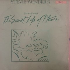 Stevie Wonder The Secret Life Of Plants Çift LP Plak