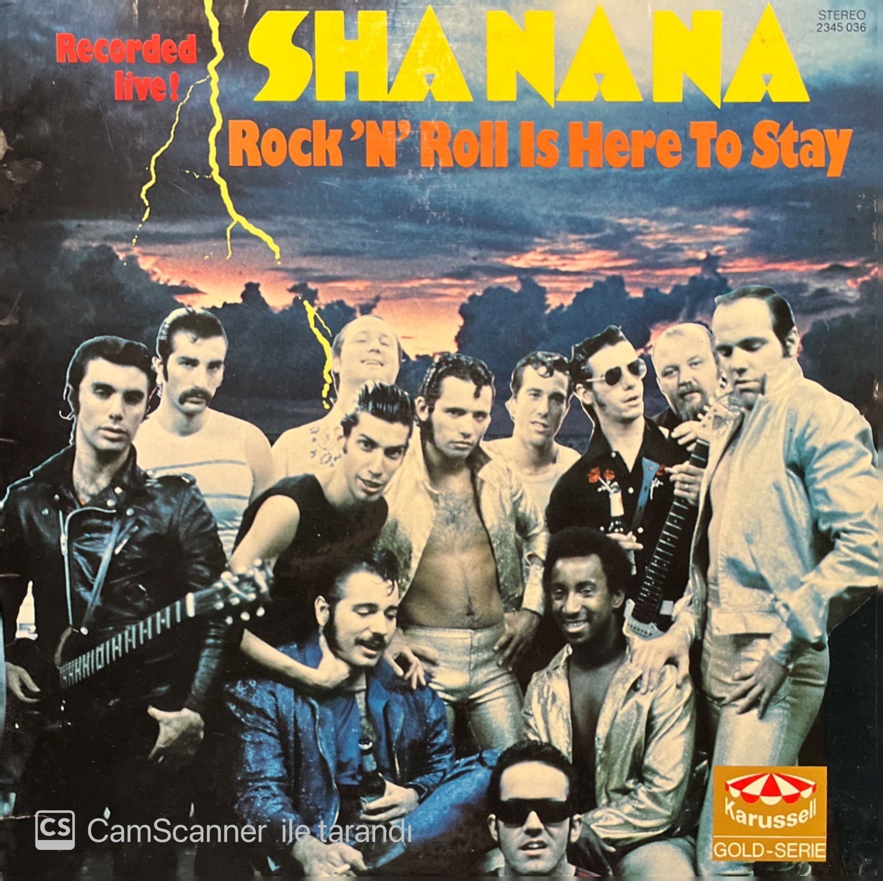 Sha Na Na Rock'N' Roll Is Here To Stay LP Plak