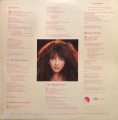 Kate Bush Lionheart LP Plak