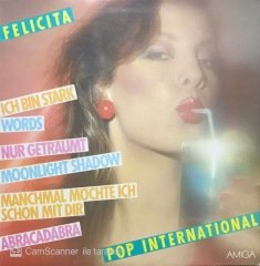 Felicita Pop International LP Plak