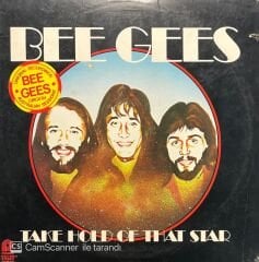 Bee Gees Take Hold Of That Star LP Plak