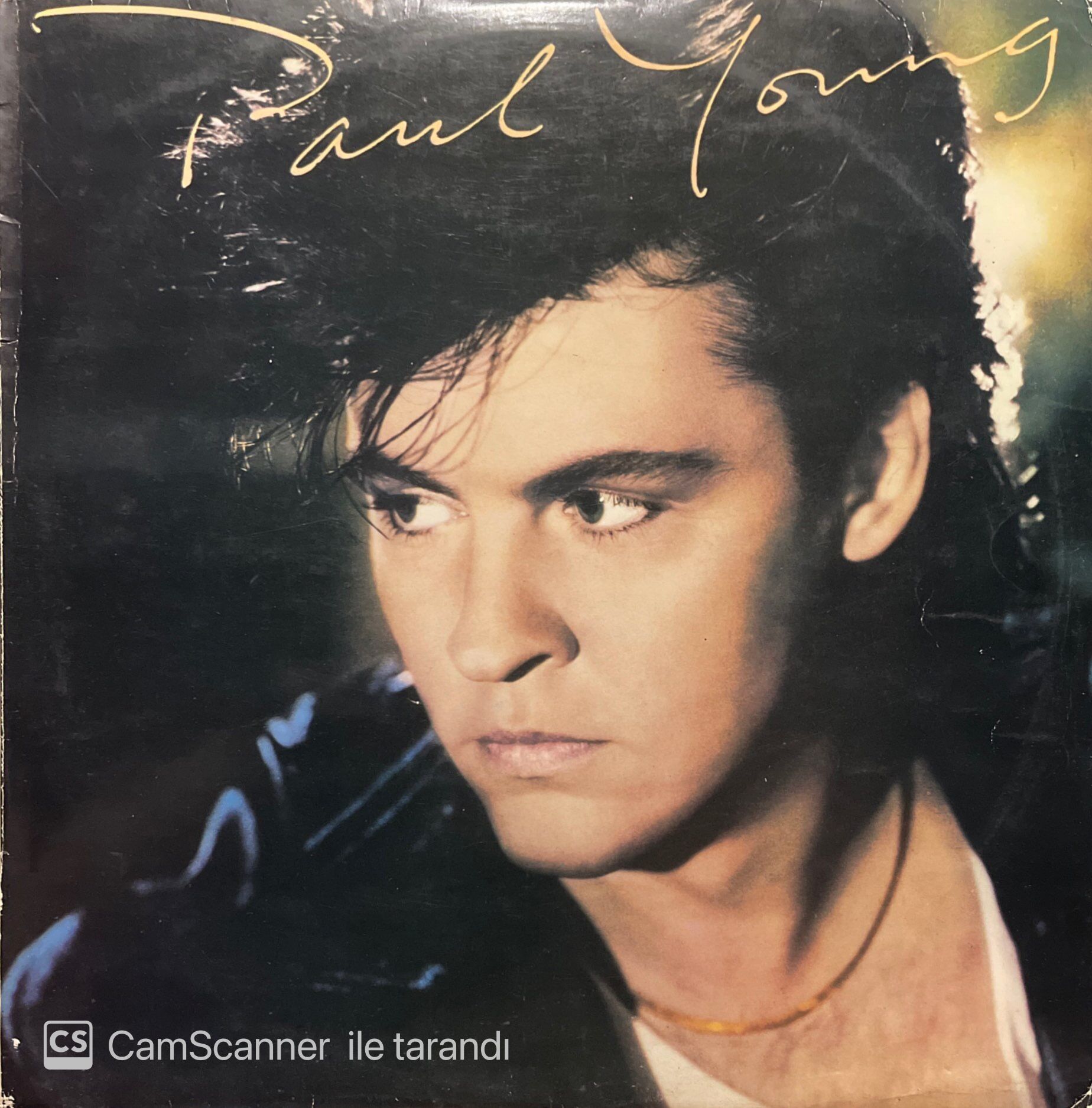 Paul Young The Secret Of Association LP Plak