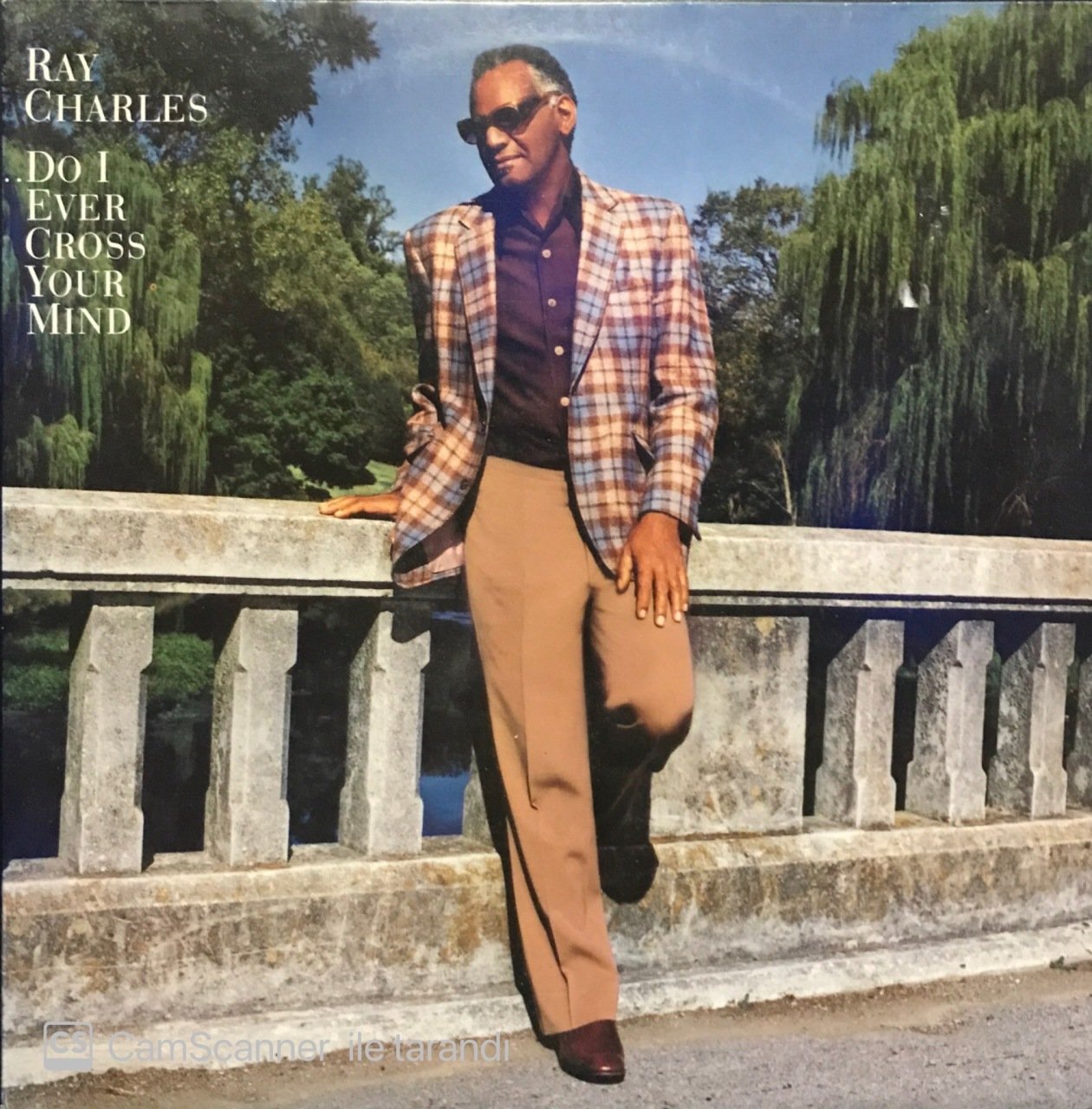 Ray Charles Do I Ever Cross Your Mind LP Plak