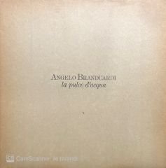 Angelo Branduardi La Pulce D'acqua LP Klasik Plak