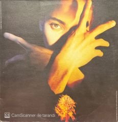 Terence Trent D'arby's Neither Fish Nor Flesh LP Plak