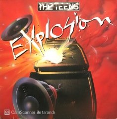 The Teens Explosion LP Plak