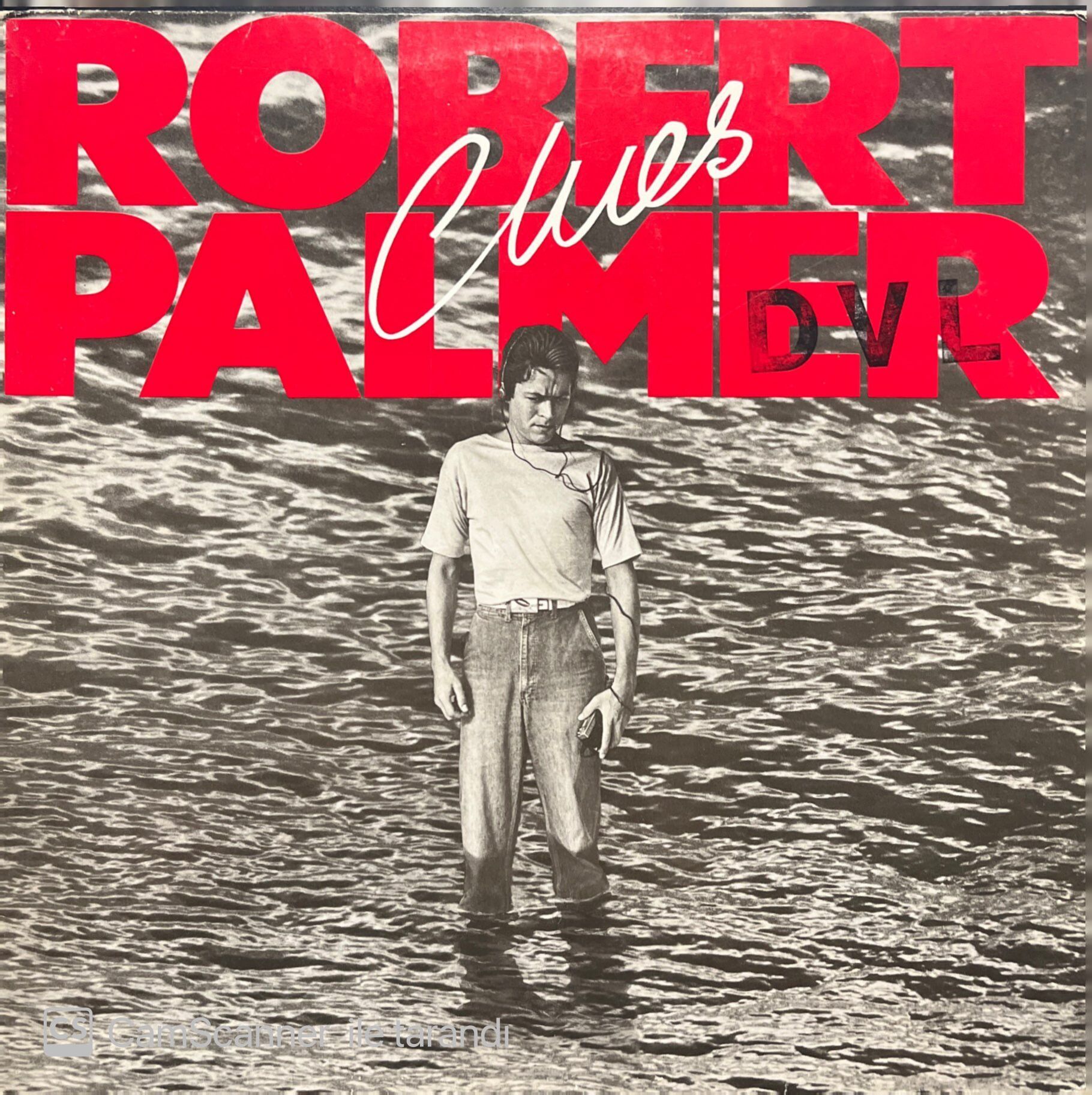 Robert Palmer Clues LP Plak