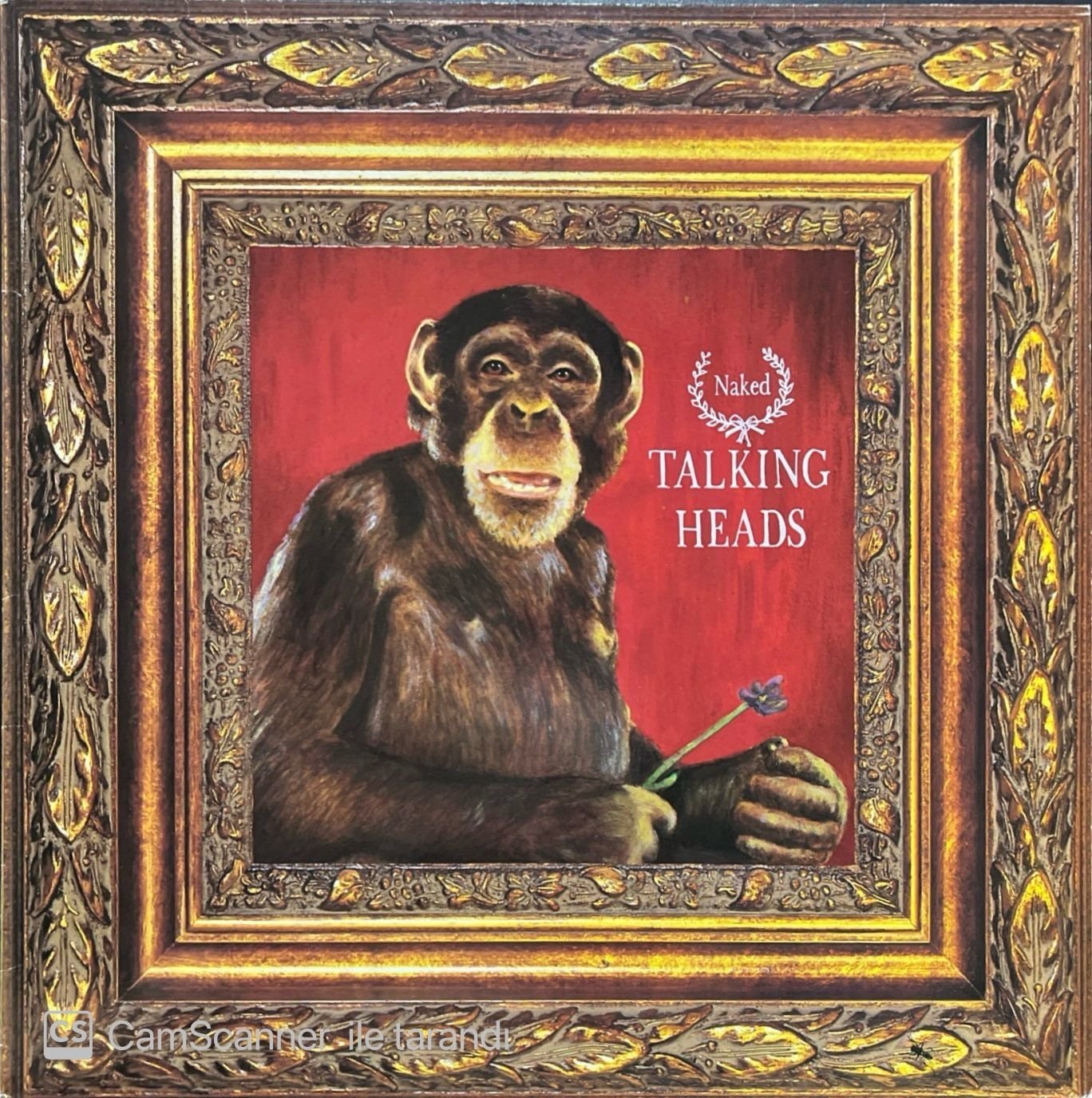 Talking Heads Naked LP Plak