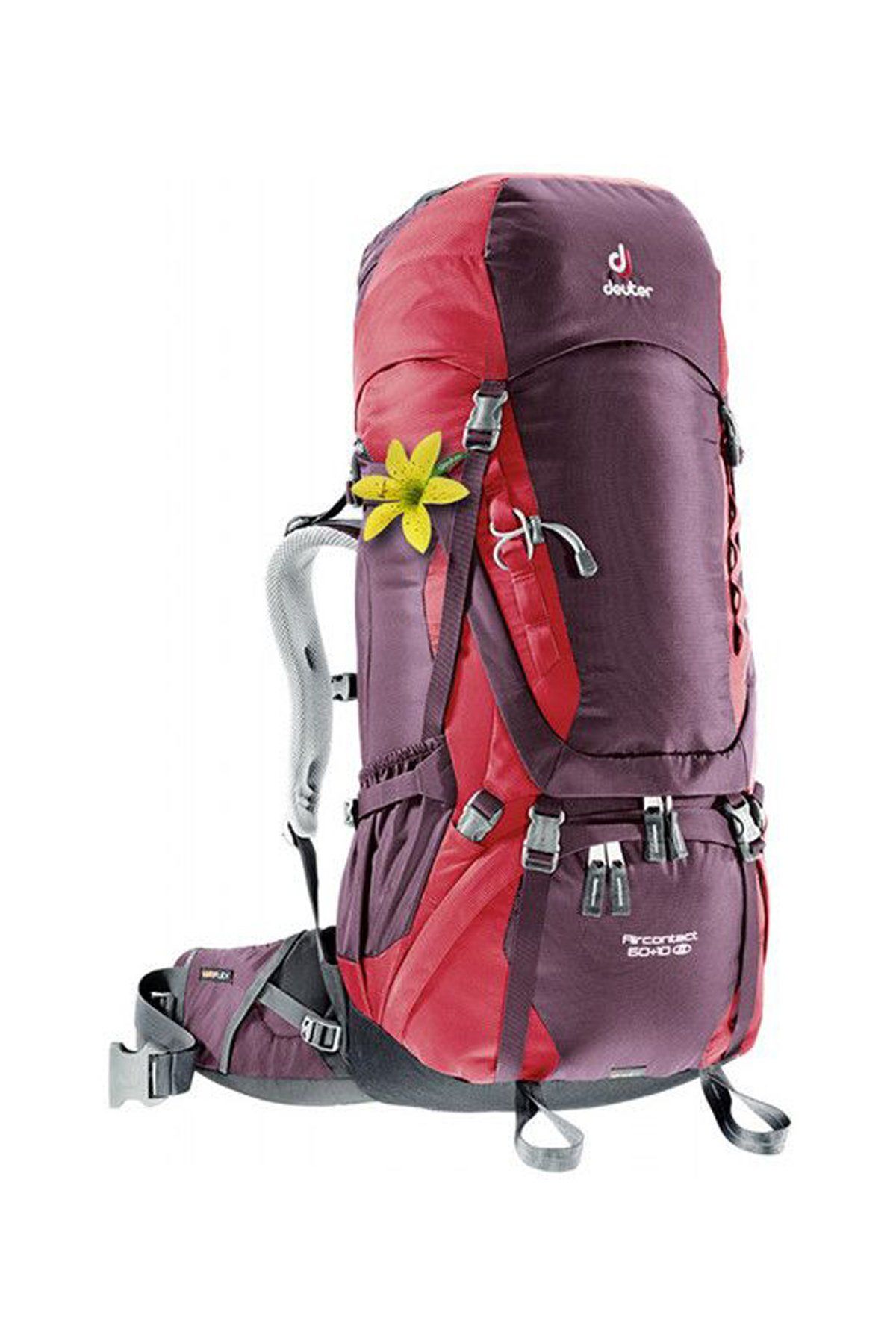 Deuter Aircontact 60 + 10 SL Kadın Sırt Çantası Aubergine-Cranberry