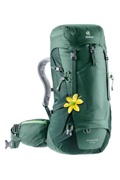 DEUTER Futura PRO 34 Litre SL Sırt Çantası seagreen-forest