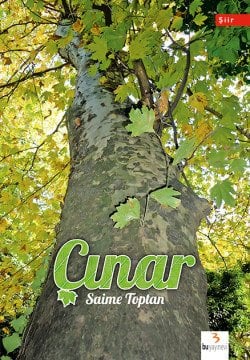 Çınar / Saime Toptan