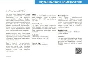 Ayvaz Dıştan Basınçlı Kompansatör / Flanşlı (3mm Genleşmeli -20+10) DN25