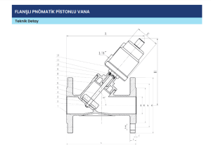 DN65 PN16 PNÖMATİK PİSTONLU VANA FLANŞLI