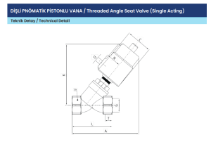 DN20 PN16 PNÖMATİK PİSTONLU VANA DİŞLİ