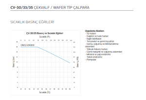 DN40 PN16 WAFER TİP ÇEKVALF ÇV-30