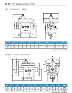 1/2'' 8,5 BAR  DİŞLİ TERS KOVALI KONDESTOP