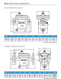 3/4'' 8,5 BAR  DİŞLİ TERS KOVALI KONDESTOP