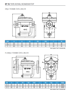 3/4'' 15,5 BAR  DİŞLİ TERS KOVALI KONDESTOP