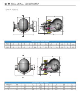 Şamandıralı Kondenstop / termostatik Hava Tahliyeli FLANŞLI SK-55 DN32