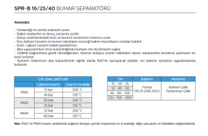 DN150 PN16 BUHAR SEPERATÖRÜ SPK-16