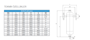 DN50 PN16 TORTU VE PİSLİK AYIRICI