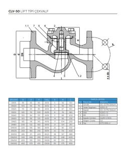Ayvaz Çekvalf Flanşlı Lift Tipi CLV-50 DN15