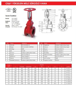 OS&Y YÜKSELEN MİLLİ VANA DN65