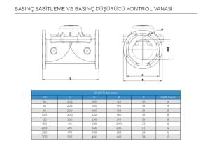 BASINÇ DÜŞÜRÜCÜ KONTROL VANASI DN50