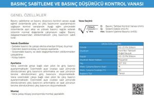 BASINÇ DÜŞÜRÜCÜ KONTROL VANASI DN100