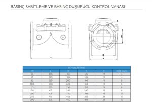 BASINÇ DÜŞÜRÜCÜ KONTROL VANASI DN200