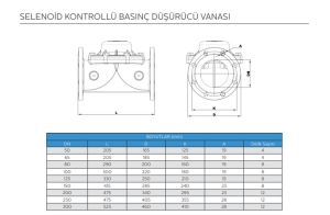 SELENOİD KONTROLLÜ BASINÇ DÜŞÜRÜCÜ VANASI DN100