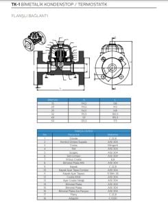 TK-1 DİŞLİ BİMETALİK KONDESTOP/TERMOSTATİK 11/4''