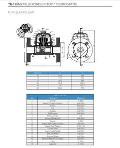 TK-1 BİMETALİK KONDESTOP / TERMOSTATİK FLANŞLI DN40