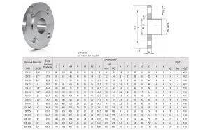 DN300  PN16  PASLANMAZ AISI304 DÜZ FLANŞ