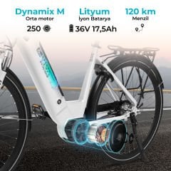 E-Bike B14 Hollanda bisikleti