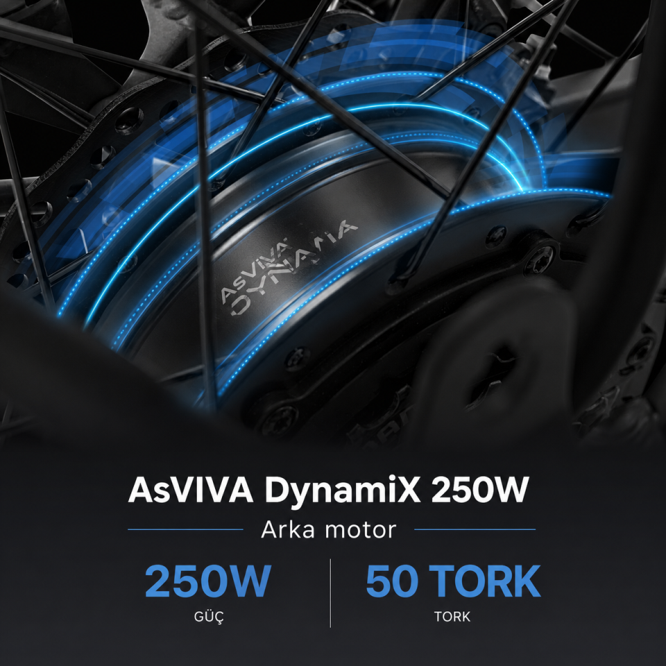 AsVIVA B12 28 Jant Elektrikli Şehir Bisikleti