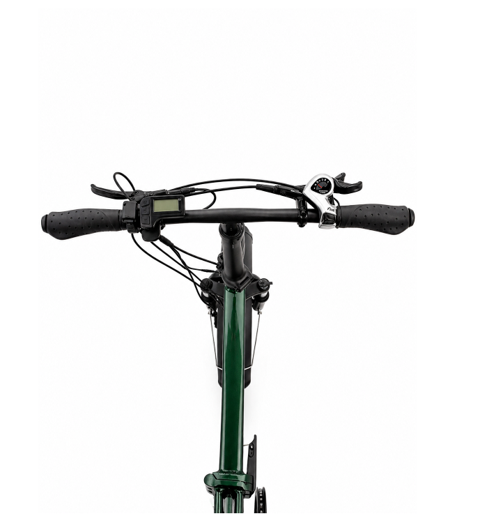 AsVIVA BZ10 20 Jant Fat Bike Elektrikli Bisiklet yesil