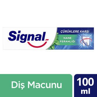 Signal Çürüklere Karşı Nane Ferahlığı 100 ml Diş Macunu