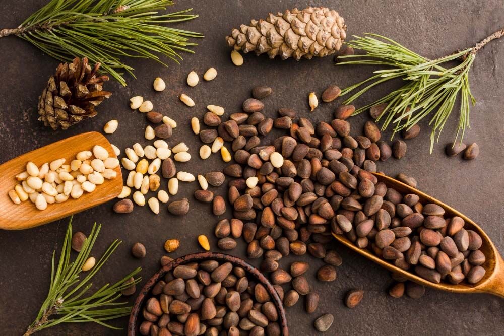 Çam Fıstığı Nedir? Faydaları Nelerdir?