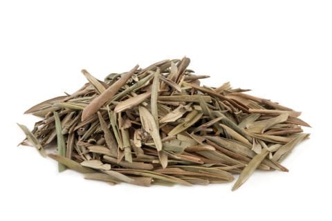 Zeytin Yaprağı Çayı