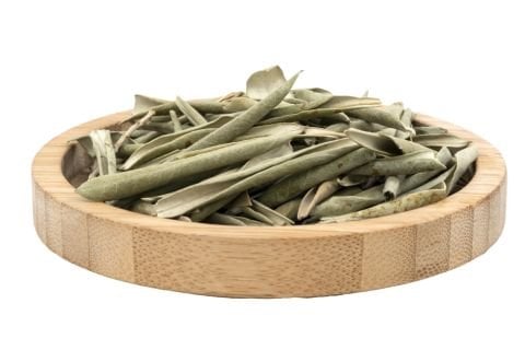 Zeytin Yaprağı Çayı