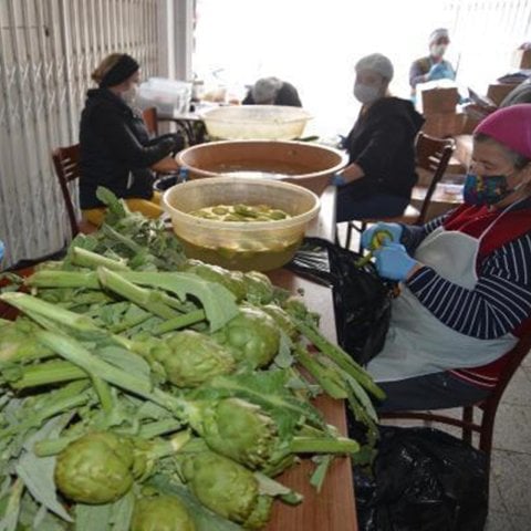 Schüssel Artischocke