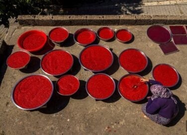 Tatlı Biber Salçası 5 Kg